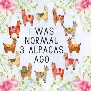 Meet your Posher, Toinette